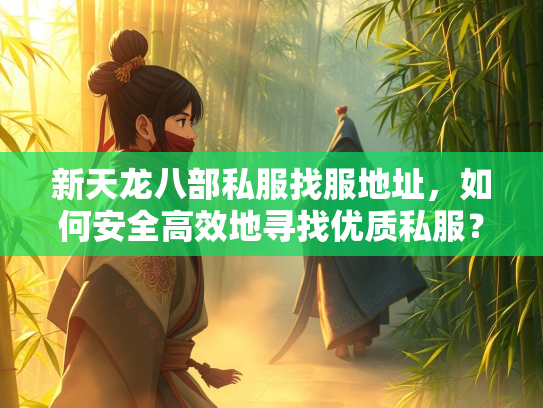 新天龙八部私服找服地址，如何安全高效地寻找优质私服？  第2张