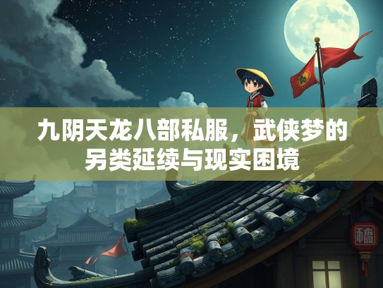 九阴天龙八部私服，武侠梦的另类延续与现实困境  第4张