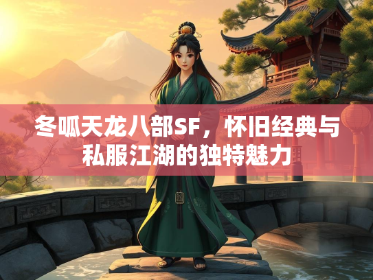 冬呱天龙八部SF，怀旧经典与私服江湖的独特魅力  第3张