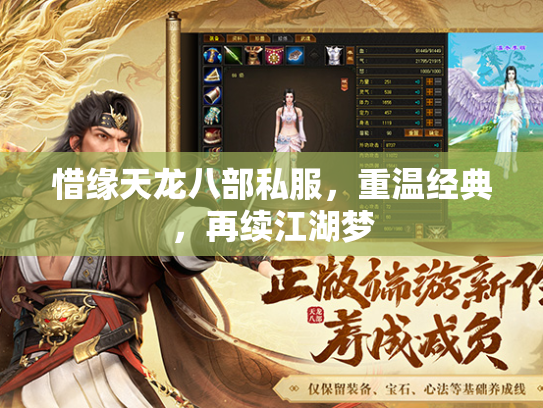 惜缘天龙八部私服，重温经典，再续江湖梦  第1张