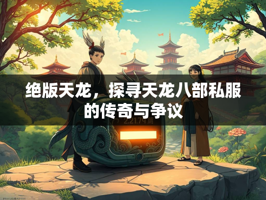 绝版天龙，探寻天龙八部私服的传奇与争议  第3张