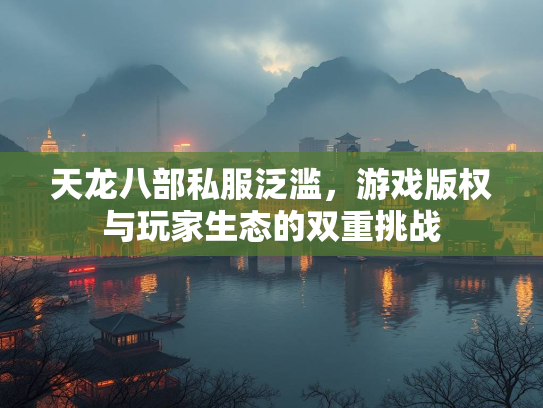 天龙八部私服泛滥，游戏版权与玩家生态的双重挑战  第3张