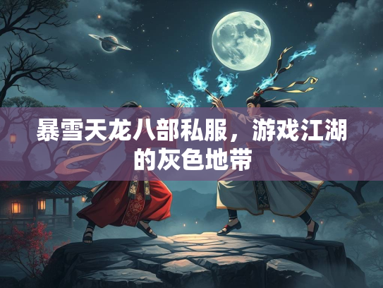暴雪天龙八部私服，游戏江湖的灰色地带  第3张