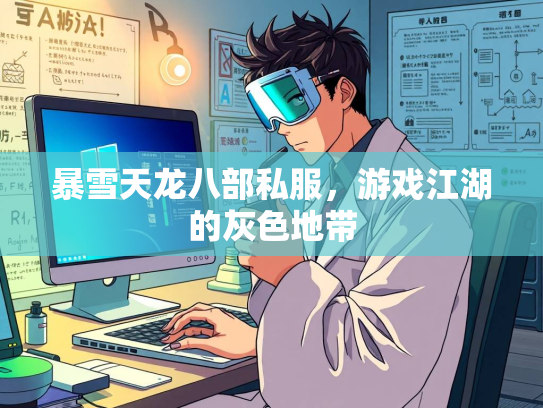 暴雪天龙八部私服，游戏江湖的灰色地带  第5张