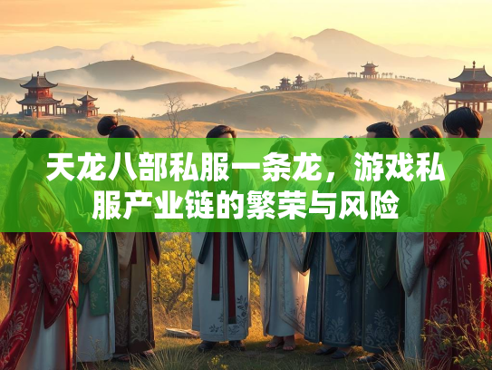 天龙八部私服一条龙，游戏私服产业链的繁荣与风险  第1张