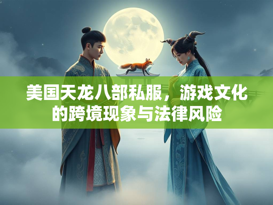 美国天龙八部私服，游戏文化的跨境现象与法律风险  第3张