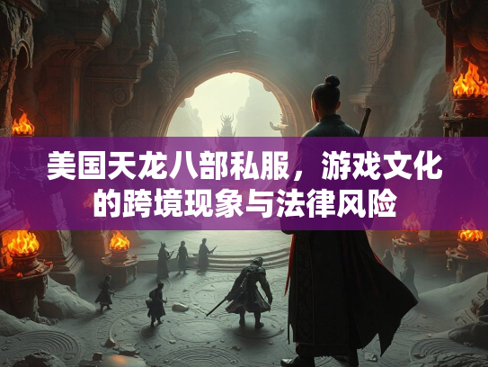 美国天龙八部私服，游戏文化的跨境现象与法律风险  第4张