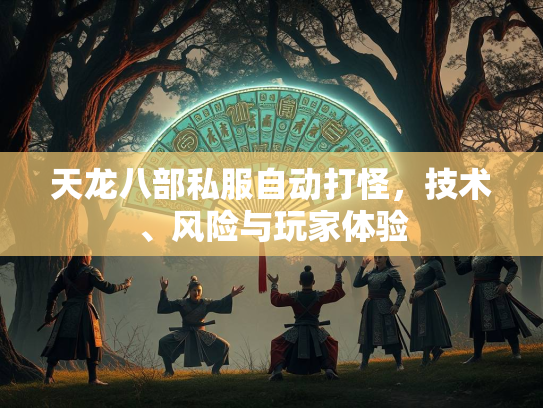天龙八部私服自动打怪，技术、风险与玩家体验  第1张