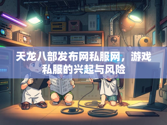 天龙八部发布网私服网，游戏私服的兴起与风险  第4张