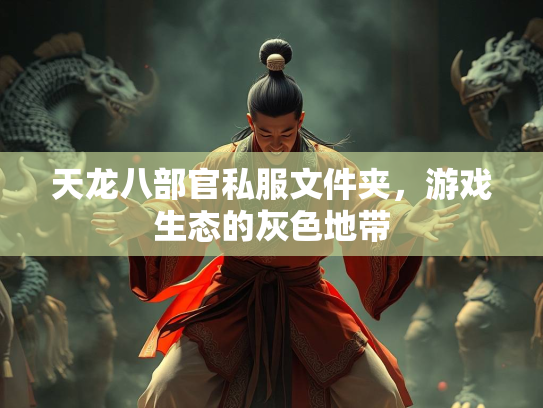 天龙八部官私服文件夹，游戏生态的灰色地带  第3张