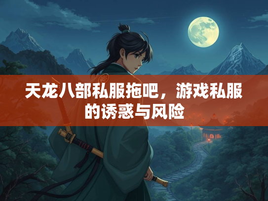 天龙八部私服拖吧，游戏私服的诱惑与风险  第3张