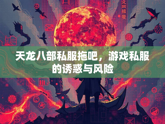天龙八部私服拖吧，游戏私服的诱惑与风险  第1张