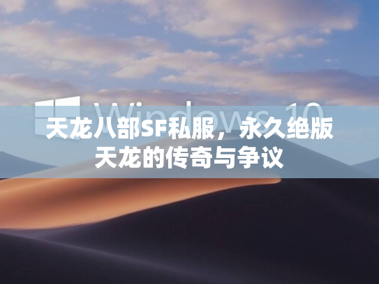 天龙八部SF私服，永久绝版天龙的服永传奇与争议  第1张