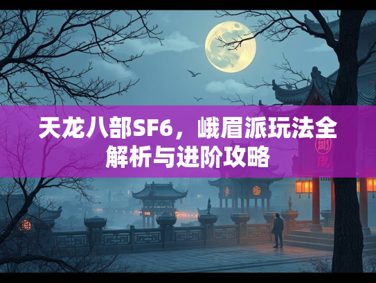 天龙八部SF6，峨眉派玩法全解析与进阶攻略  第4张