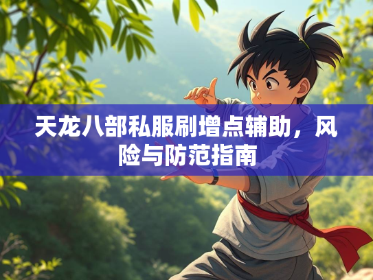 天龙八部私服刷增点辅助，风险与防范指南  第3张