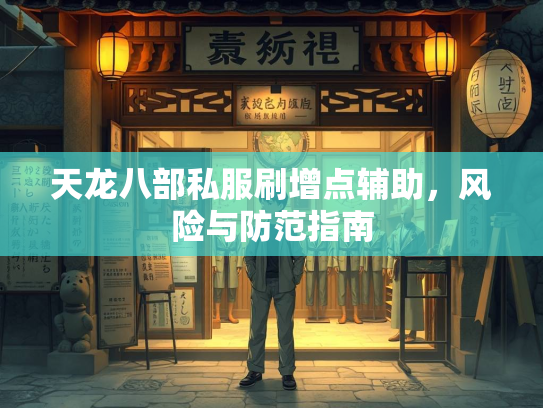 天龙八部私服刷增点辅助，风险与防范指南  第4张