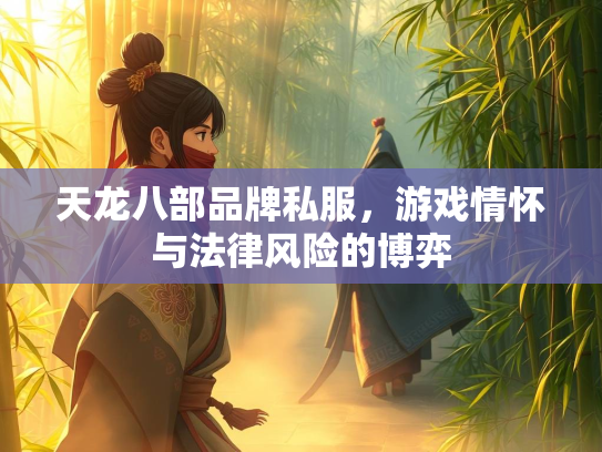天龙八部品牌私服，游戏情怀与法律风险的博弈  第4张
