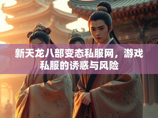 新天龙八部变态私服网，游戏私服的诱惑与风险  第3张