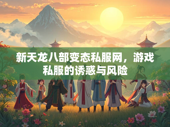 新天龙八部变态私服网，游戏私服的诱惑与风险  第4张