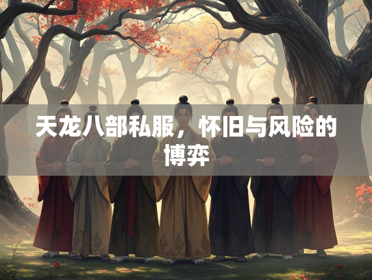 天龙八部私服，怀旧与风险的博弈  第1张