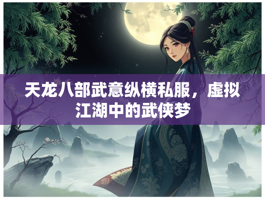 天龙八部武意纵横私服，虚拟江湖中的武侠梦  第1张