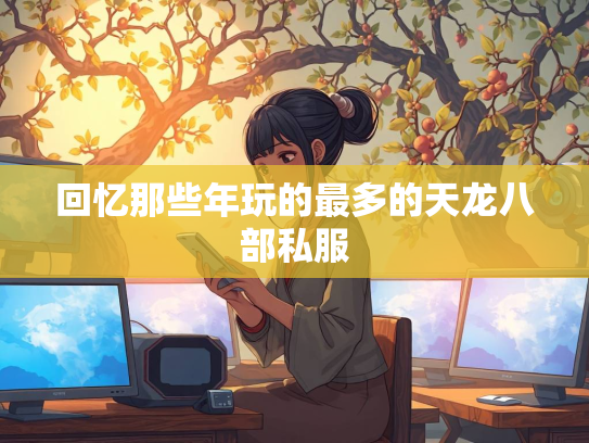 回忆那些年玩的最多的天龙八部私服  第2张