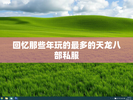 回忆那些年玩的最多的天龙八部私服  第1张