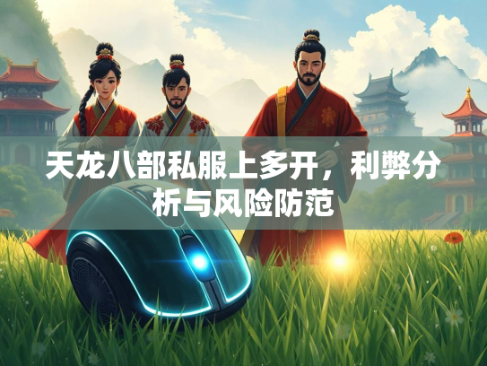天龙八部私服上多开，利弊分析与风险防范  第3张