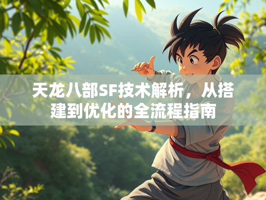 天龙八部SF技术解析，从搭建到优化的全流程指南  第3张