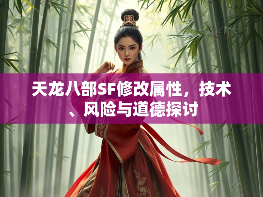 天龙八部SF修改属性，技术、风险与道德探讨  第2张