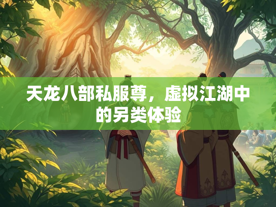天龙八部私服尊，虚拟江湖中的另类体验  第1张