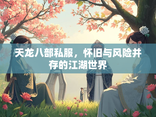 天龙八部私服，怀旧与风险并存的江湖世界  第2张