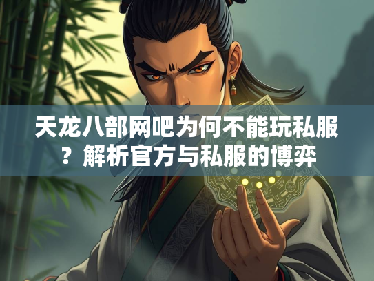 天龙八部网吧为何不能玩私服？解析官方与私服的博弈  第3张