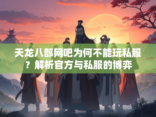 天龙八部网吧为何不能玩私服？解析官方与私服的博弈  第1张
