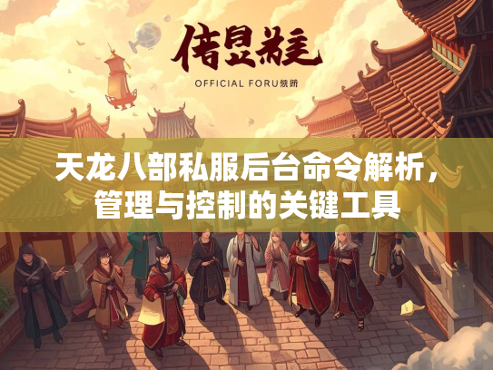 天龙八部私服后台命令解析，管理与控制的关键工具  第3张