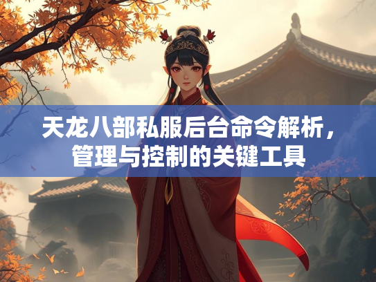 天龙八部私服后台命令解析，管理与控制的关键工具