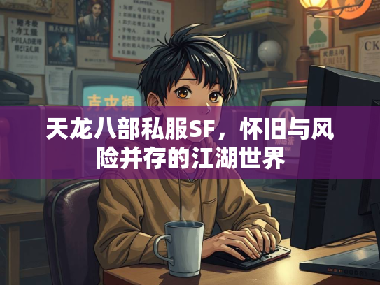 天龙八部私服SF，怀旧与风险并存的江湖世界  第3张