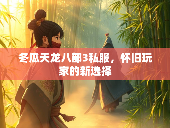 冬瓜天龙八部3私服，怀旧玩家的新选择  第2张