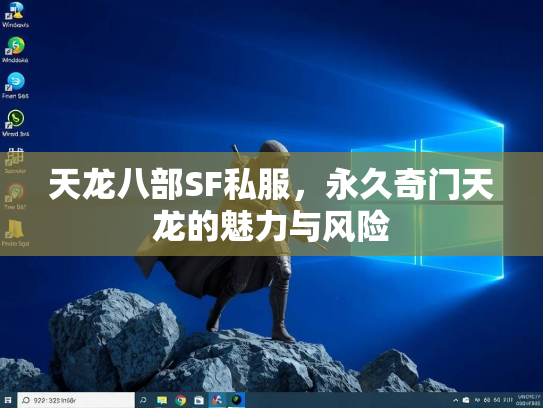 天龙八部SF私服，永久奇门天龙的魅力与风险  第3张