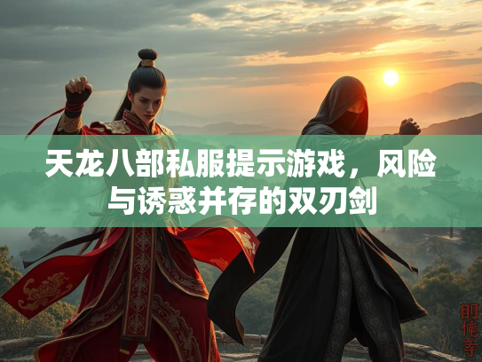 天龙八部私服提示游戏，风险与诱惑并存的双刃剑