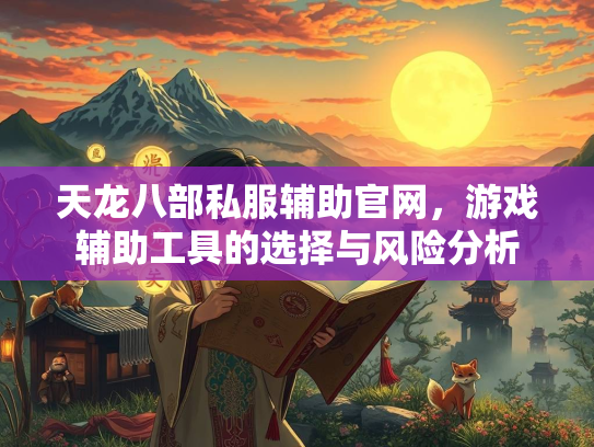 天龙八部私服辅助官网，游戏辅助工具的选择与风险分析  第2张