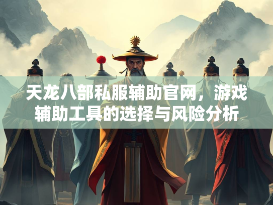 天龙八部私服辅助官网，游戏辅助工具的选择与风险分析