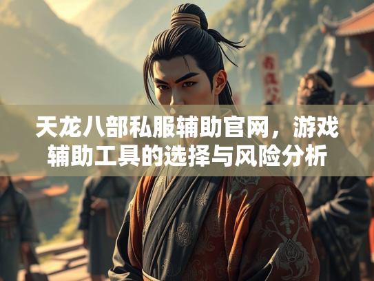 天龙八部私服辅助官网，游戏辅助工具的选择与风险分析