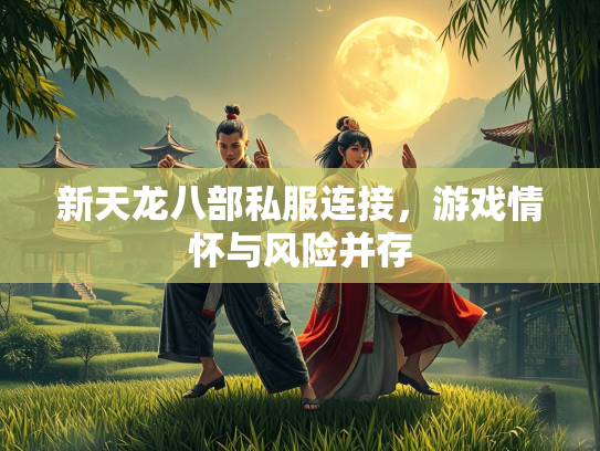 新天龙八部私服连接，游戏情怀与风险并存