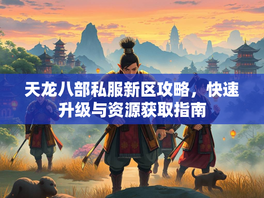 天龙八部私服新区攻略，快速升级与资源获取指南  第2张