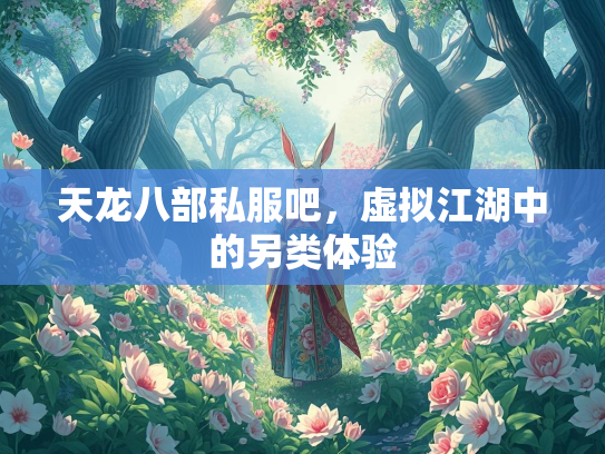 天龙八部私服吧，虚拟江湖中的另类体验  第2张