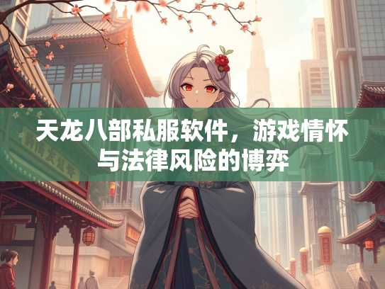 天龙八部私服软件，游戏情怀与法律风险的博弈  第3张