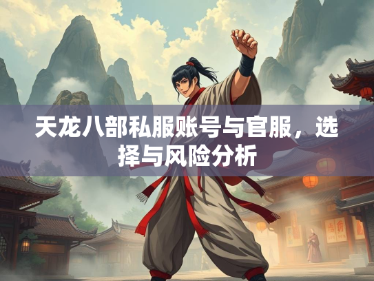 天龙八部私服账号与官服，服账服选<strong></strong>选择与风险分析  第1张