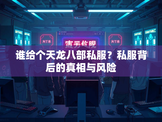 谁给个天龙八部私服？私服背后的真相与风险