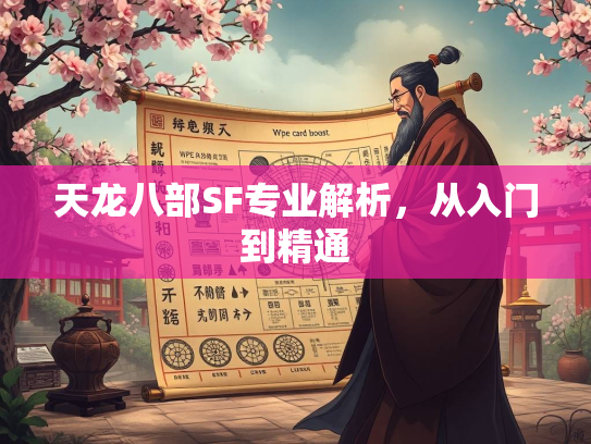 天龙八部SF专业解析，从入门到精通  第2张